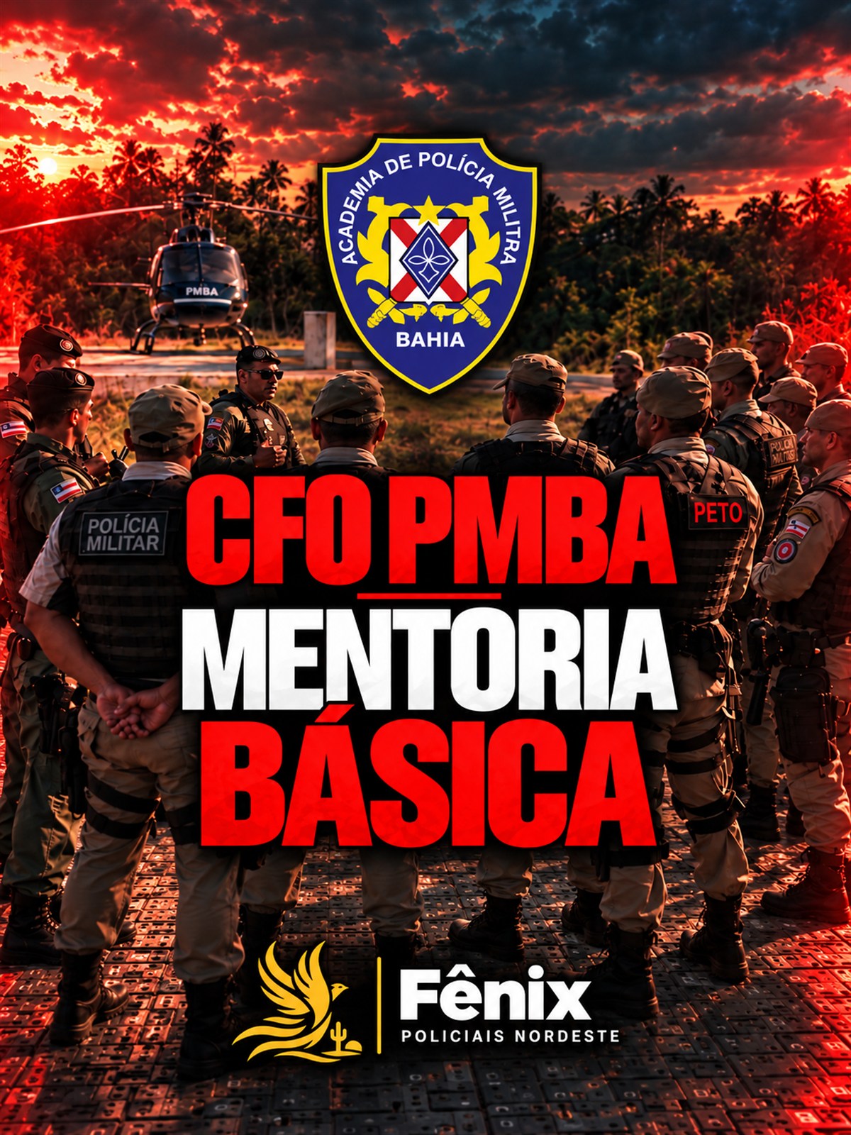 Mentoria CFO PMBA
